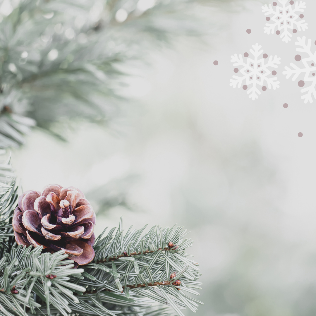 green merry christmas Instagram post